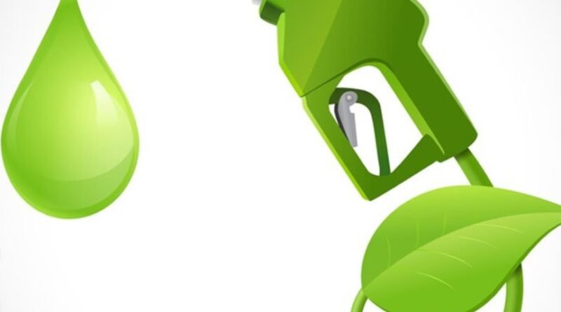 CFG biofuels bioenergy biomass biogas ethanol methanol plant