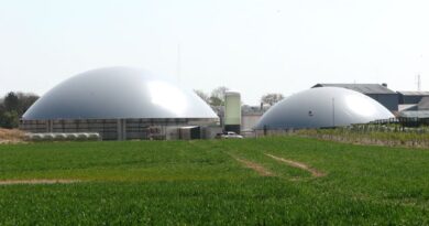 biogas gobar gas bio-cng renewable biofuels biomass energy