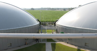 CBG biogas Punjab renewable biofuels bioenergy bio-cng
