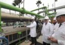 Turning Seashells into Solutions: A Breakthrough in Singapore's Ocean-Based Carbon Removal Plantgy biodiesel renewable bio-cng biocng CBG plant ethanol