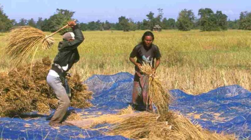 bioextruder bioextrusion agri waste biogas biofuels bioenegy agriculture farming waste to energy