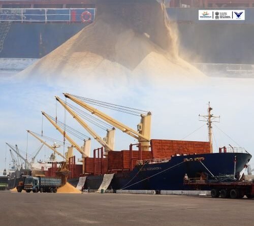 VOC Port to be green hydrogen-ammonia hub with an investment of Rs 41,860 crore