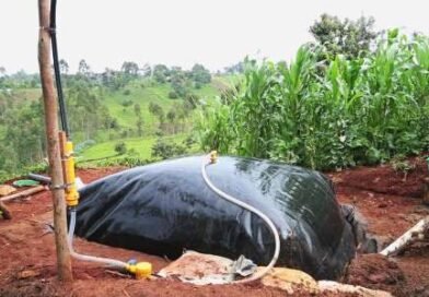 Sistema.bio secures $3.5 mn from Novastar Ventures to accelerate growth in African market biogas CBG biofuels bioenergy