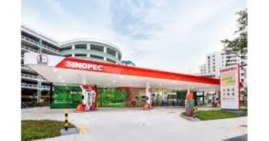 Sinopec to give engineering services to ACWA Power green hydrogen project