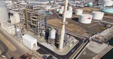 Sumitomo led firm commences 112-MW biomass power project in Japan