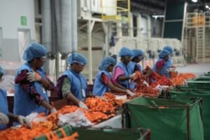 IIT Delhi transfers vital textile recycling technologies to industry