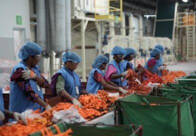 IIT Delhi transfers vital textile recycling technologies to industry