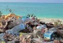 Oman eyes $50 million investment to bolster PET waste recycling plastic waste sea pollution ocean beach