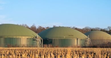 Asterion to invest €1.5 bn into European biomethane