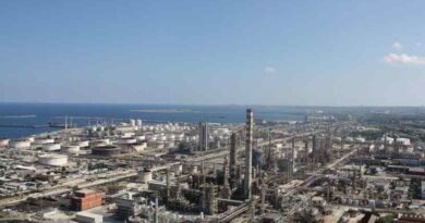 Eni, Q8 come together to build Italian biorefinery ethanol