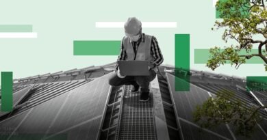 Rajasthan, Gujarat and Tamil Nadu Emerge as India’s Top Green Job Destinations: IPE Study