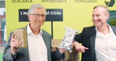Sumitomo, Graphyte make JV to bolster biomass carbon removal credits