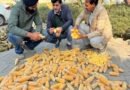 FOOD VS FUEL - Ethanol pushing up egg prices maize