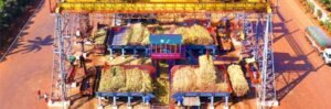 1 sunil singhal Chemical Systems Technologies sugar ethanol