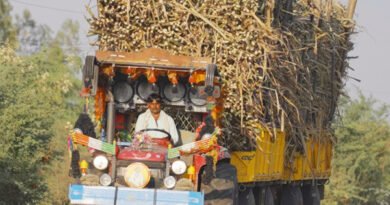 India's ETHANOL programme runs short of sugar; Maize fills gap but at a ‘PRICE’