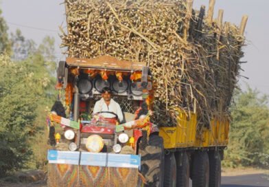 India's ETHANOL programme runs short of sugar; Maize fills gap but at a ‘PRICE’