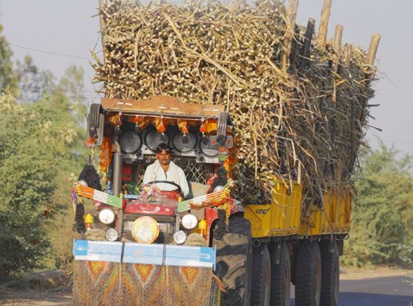 India's ETHANOL programme runs short of sugar; Maize fills gap but at a ‘PRICE’